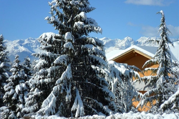 Hotel e Appartamenti Al Larice